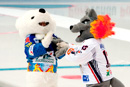 Finale de la Coupe de France 2009