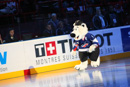 Finale Coupe de France 2010