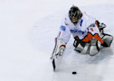 Hockey sur glace