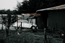 2cv